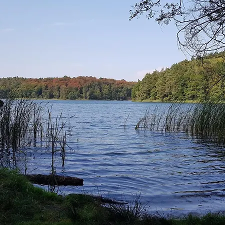 Forsthaus Grossmenow 公寓 Fürstenberg-Havel