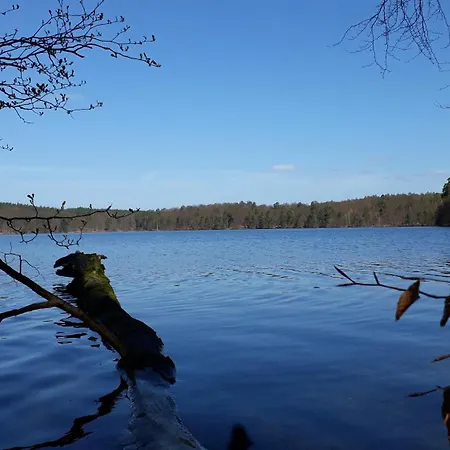 公寓 Forsthaus Grossmenow *