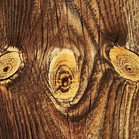 Appartamento Forsthaus Grossmenow *