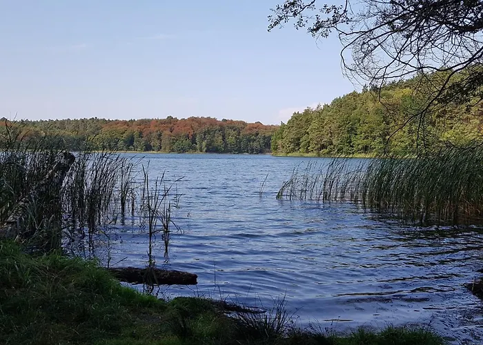 Forsthaus Grossmenow Appartement Fürstenberg-Havel