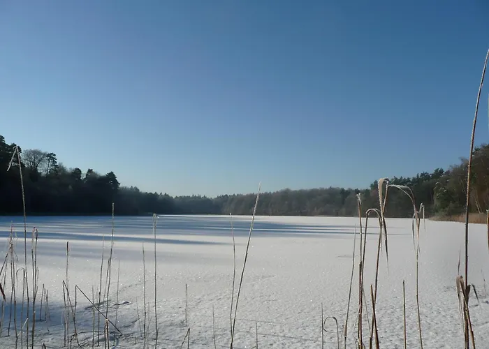 Appartement Forsthaus Grossmenow Fürstenberg-Havel
