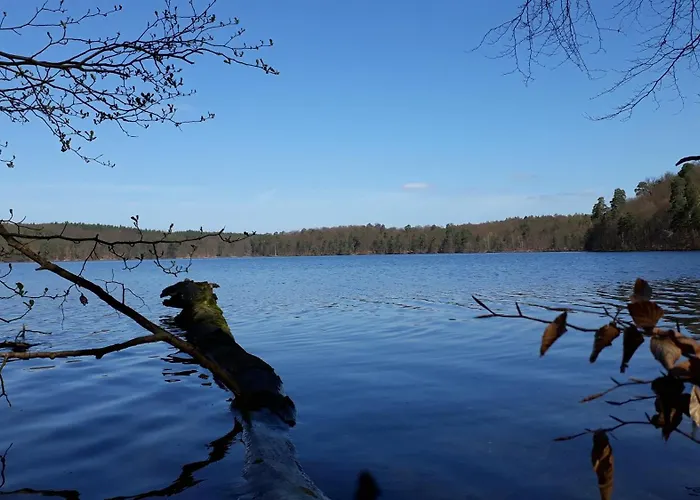 Appartement Forsthaus Grossmenow *