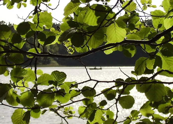 Forsthaus Grossmenow Appartement Fürstenberg-Havel