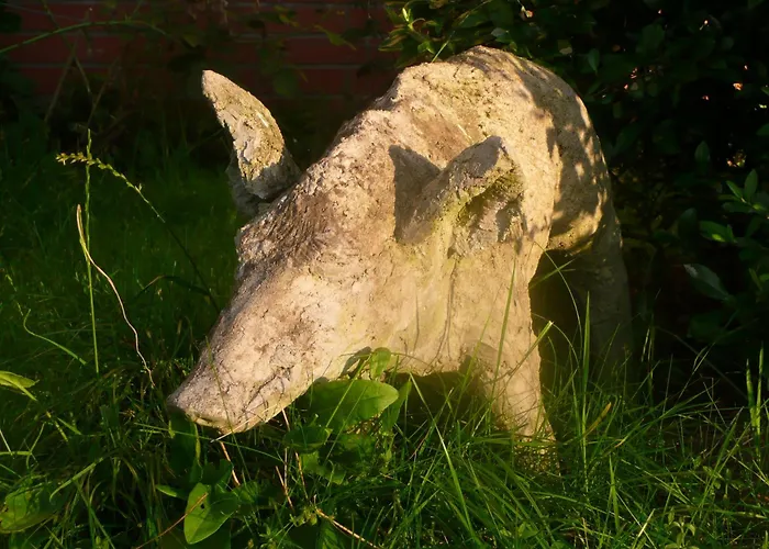 Appartement Forsthaus Grossmenow Fürstenberg-Havel