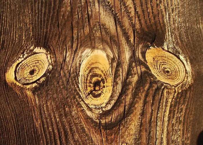 דירה Forsthaus Grossmenow *